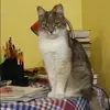 Отзыв от Марина Щукина